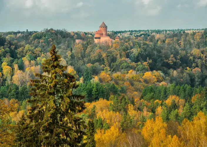 11 Tage durch die baltischen Länder - Nationalpark Gauja und Tartu, akademisches Zentrum Estlands - Tagesfoto