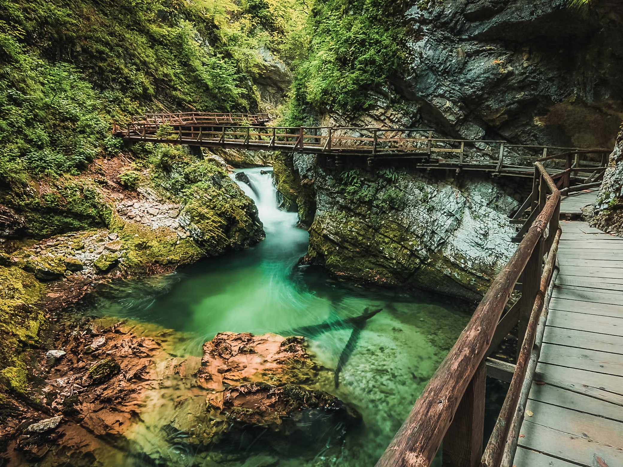 Explora lo Mejor de Eslovenia – Itinerario de 5 Días - Lo más destacado de Bled & Vistas panorámicas - Foto del día