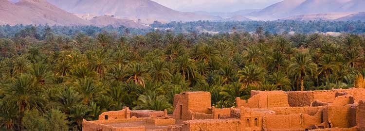 La magie du sud du Maroc - Direction la vallée du Drâa - Direction la vallée du Drâa