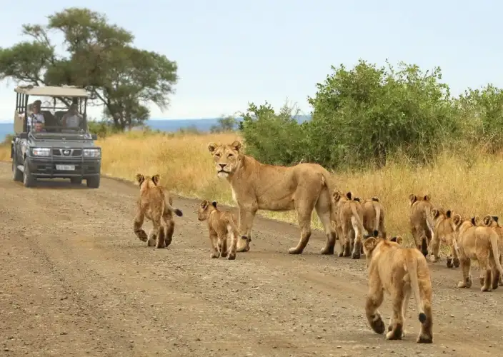 No coração dos tesouros da África Austral - O parque de Etosha - Foto do dia