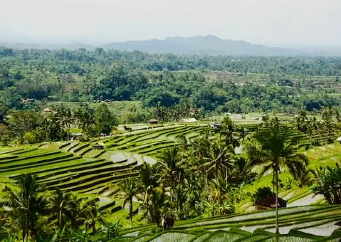 Dorpen, tempels en Balinese natuur - Immersion bij de lokale bevolking in Undisan - Foto van de dag