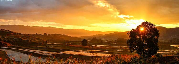 20 días en Madagascar: la isla de los fabulosos contrastes - Antananarivo - Miandrivazo - Antananarivo - Miandrivazo