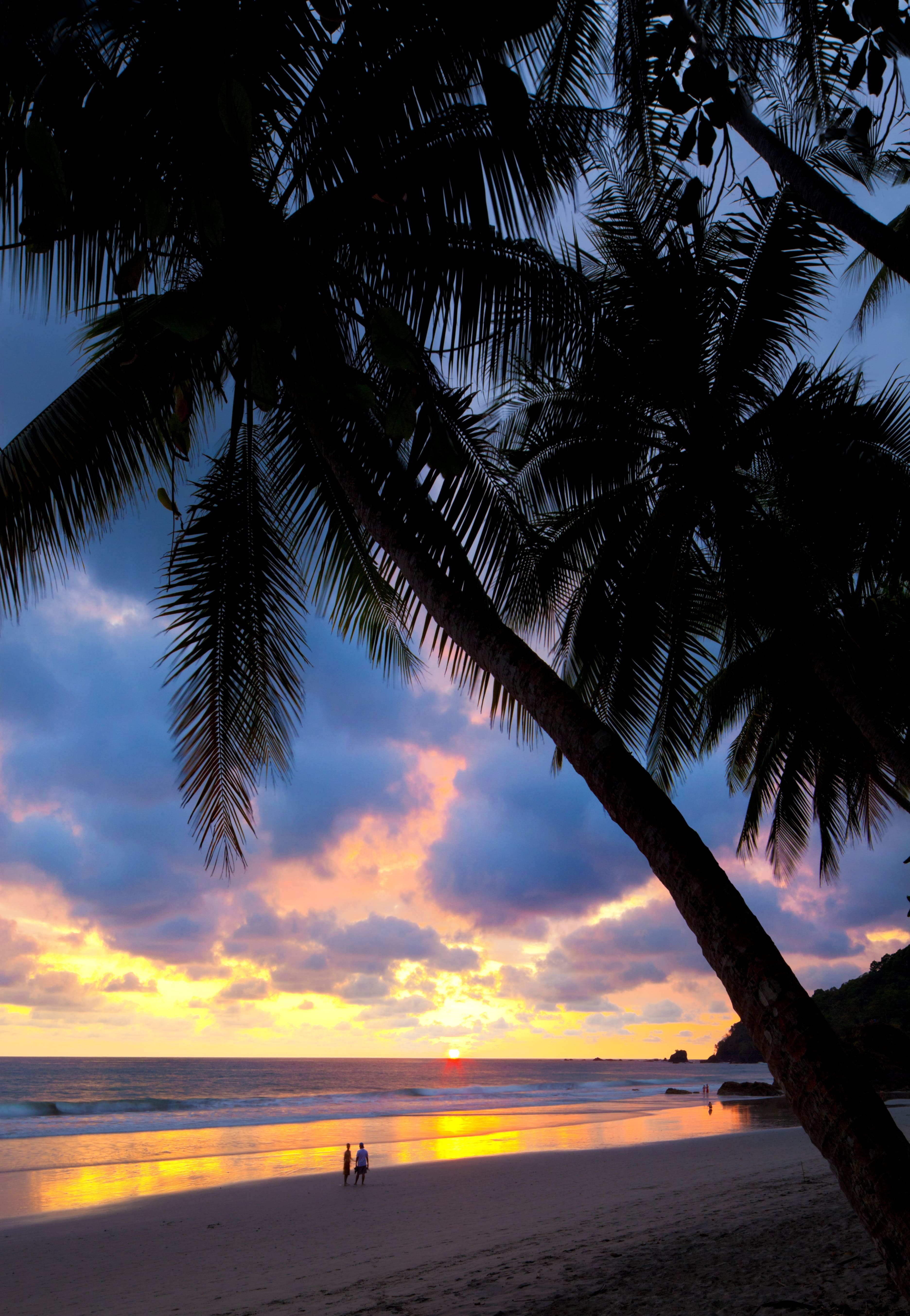 Lujo e intimidad en el Paraíso Verde - Bagaces - Isla Jesuita - Bagaces - Isla Jesuita
