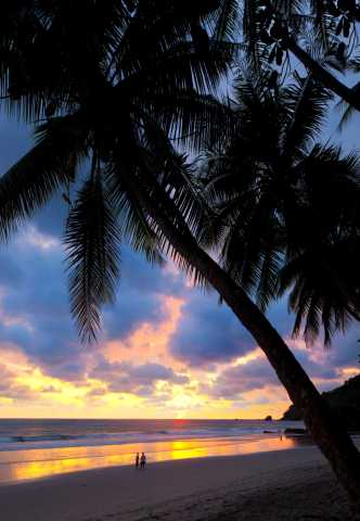 Luxe en intimiteit in het Groene Paradijs