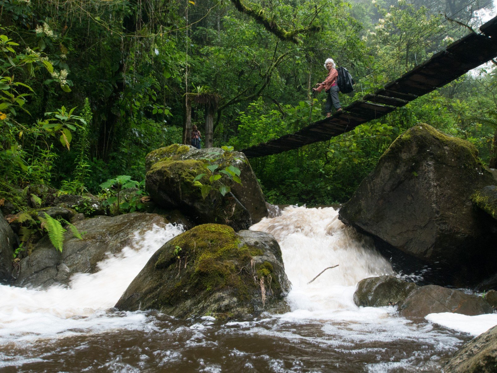 Schließen Sie sich einer kleinen Gruppe von Reisenden an – 14 Tage - Cocora-Tal und Filandia - Vallée de Cocora et Filandia