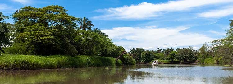 Les 3 éléments : jungle, volcan, océans. - Sarapiqui - Sarapiqui