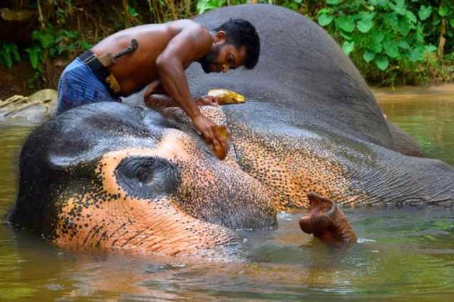 Eerste indrukken van Sri Lanka