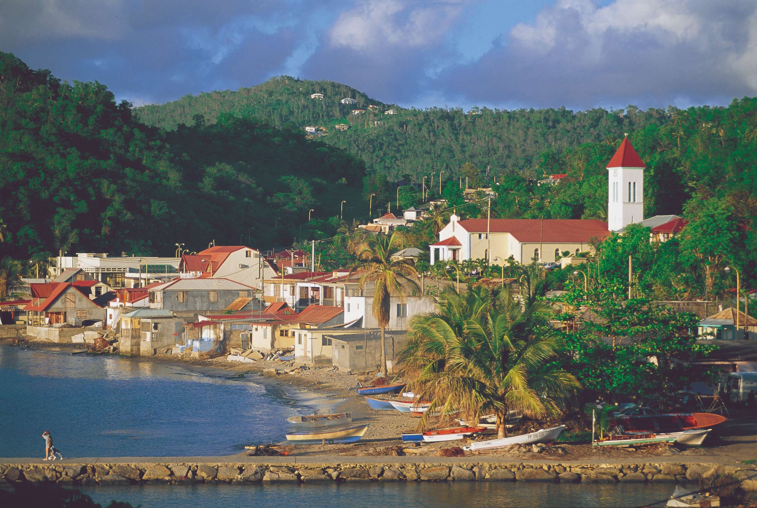 Guadeloupe : Découverte du Papillon en 11 j - Départ pour la Basse-Terre et les plages. - Départ pour la Basse Terre et plages