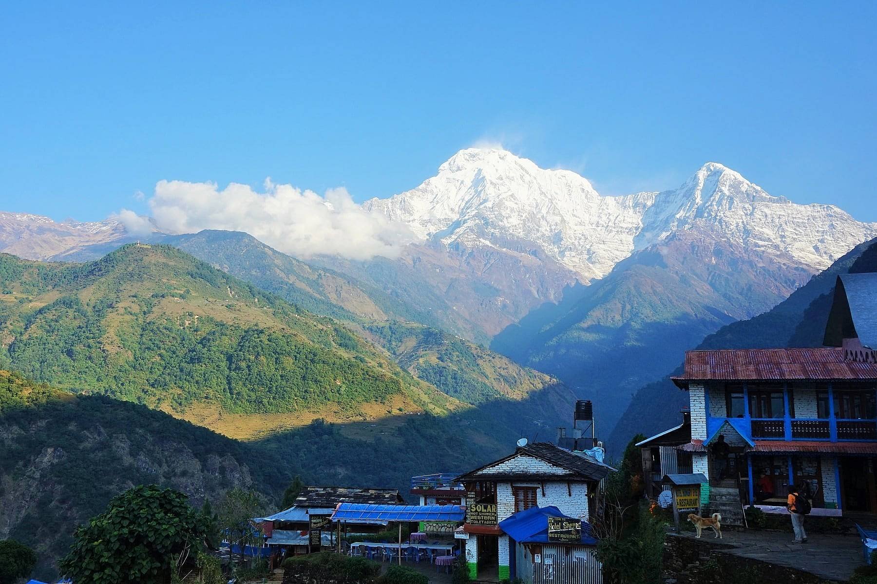 Annapurna Comfort Trek | 10 Days - Trek Landrung (1565m) – 4 hrs walk - Photo of the day