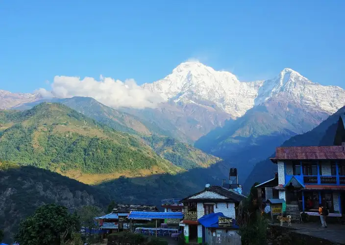 Annapurna Comfort Trek | 10 Days - Trek Landrung (1565m) – 4 hrs walk - Photo of the day