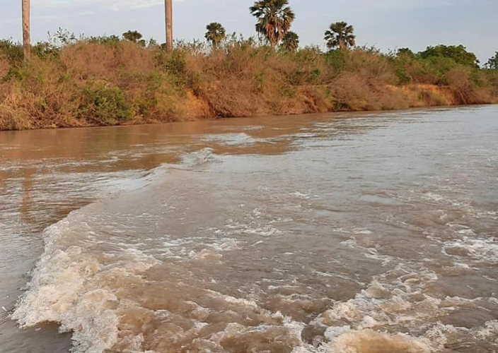 La puerta mágica al sur de Tanzania - Dar es Salaam | Parque Nacional Nyerere | Safari en barco - Foto del día