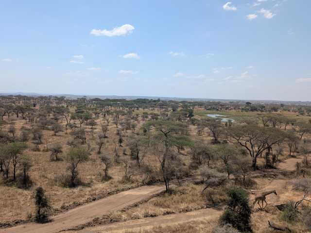 14 Dias de Safari na Tanzânia, Cultura & Fuga para Zanzibar