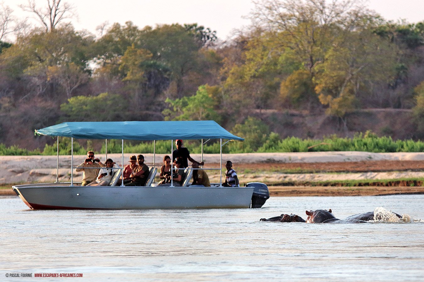 Safari en tierras olvidadas - Parque nacional de Nyerere - Boat-safari sur la Rufiji River