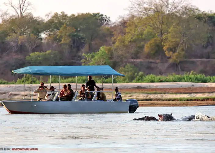 Safari en tierras olvidadas - Parque nacional de Nyerere - Boat-safari sur la Rufiji River