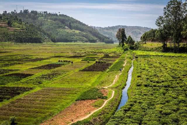 Soggiorno d'avventura di 8 giorni in Ruanda.