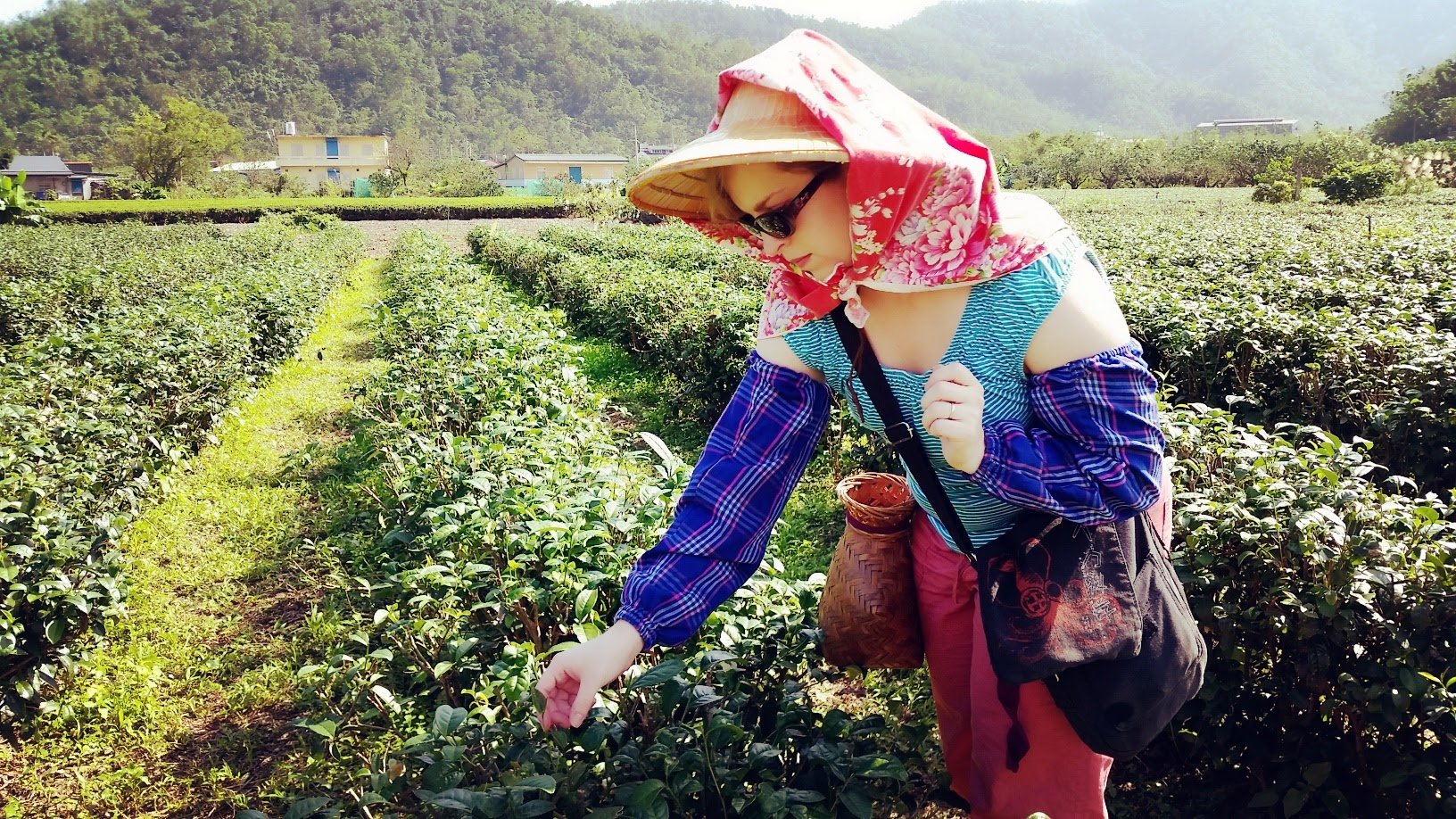 Ontdek de wonderen van Taiwan: schilderachtige landschappen en culturele pareltjes - Lohas Yilan - Foto van de dag