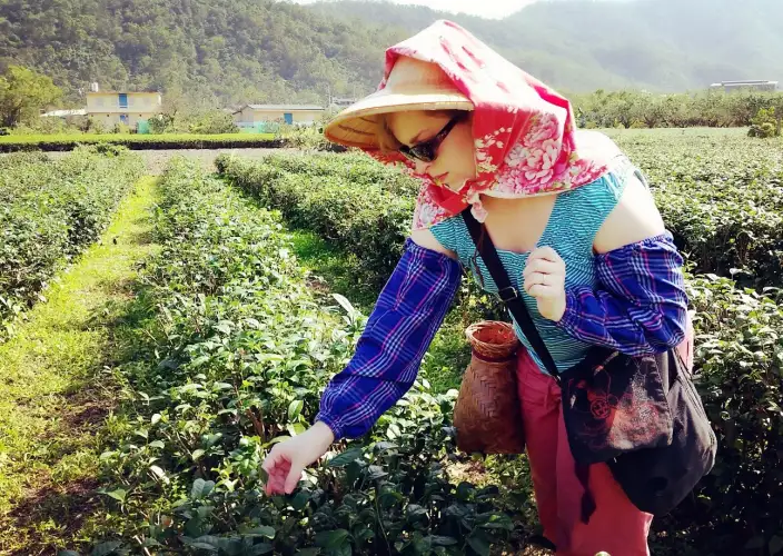 Ontdek de wonderen van Taiwan: schilderachtige landschappen en culturele pareltjes - Lohas Yilan - Foto van de dag