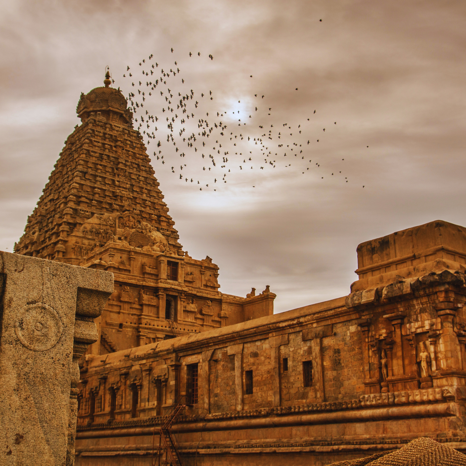 Circuit d'architecture des temples du sud de l'Inde : un voyage guidé, privé et exclusif à travers les sites du patrimoine mondial de l'UNESCO - Temples de Thanjavur et Kumbakonam - Photo du jour