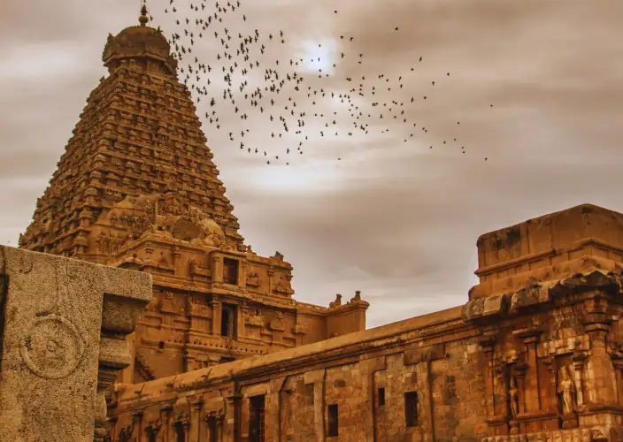 Circuit d'architecture des temples du sud de l'Inde : un voyage guidé, privé et exclusif à travers les sites du patrimoine mondial de l'UNESCO - Temples de Thanjavur et Kumbakonam - Photo du jour