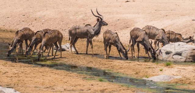 Explorez les paysages variés et la faune des trésors cachés de la Tanzanie