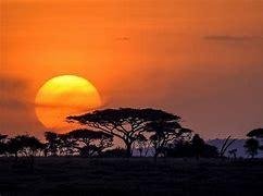 Aventure tanzanienne : 10 jours au cœur de la faune africaine - Safari dans le Serengeti - Safari dans le Serengeti