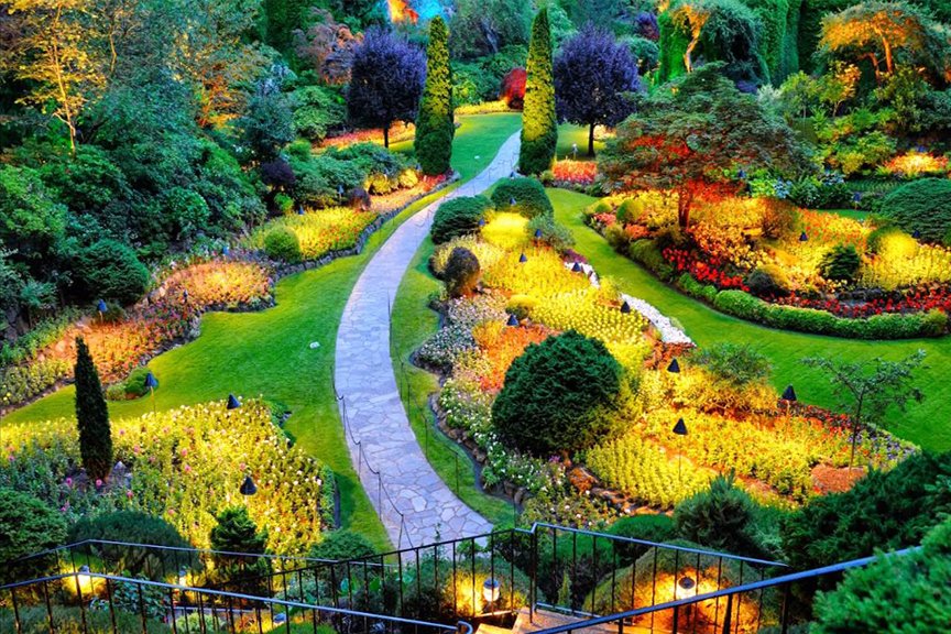 15-Day Private Kosher Sri Lanka Family Tour: Nature, Safari - Kandy Heritage and Botanical Gardens - Photo of the day