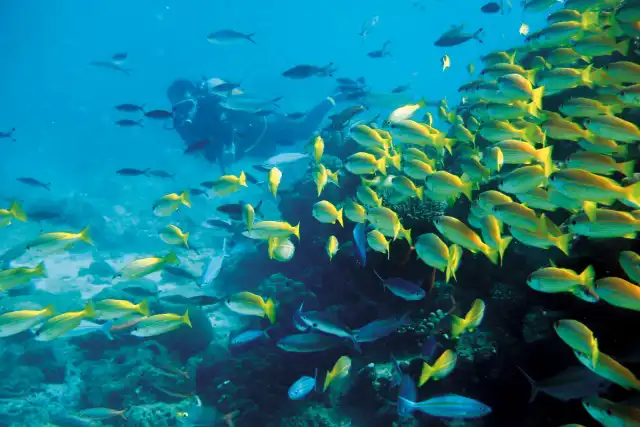 Madagáscar: estadia de exceção numa ilha secreta de requinte e tranquilidade