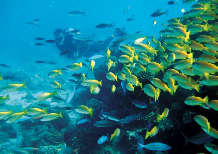 Madagascar : séjour d'exception sur une île secrète de raffinement et de tranquillité - Immersion et farniente - Photo du jour