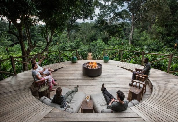 Exclusief verblijf in het hart van het nationaal park Odzala-Kokoua, juweel van Centraal-Afrika - Brazzaville - Mboko - Ngaga Lodge (Kamba) - Foto van de dag