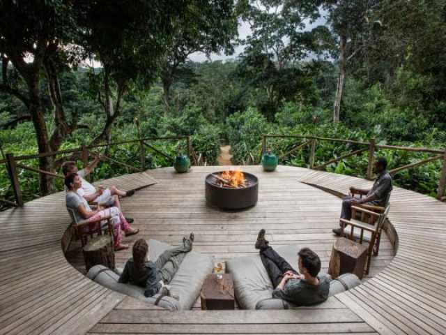 Séjour exclusif au cœur du parc national d’Odzala-Kokoua, joyau d’Afrique centrale