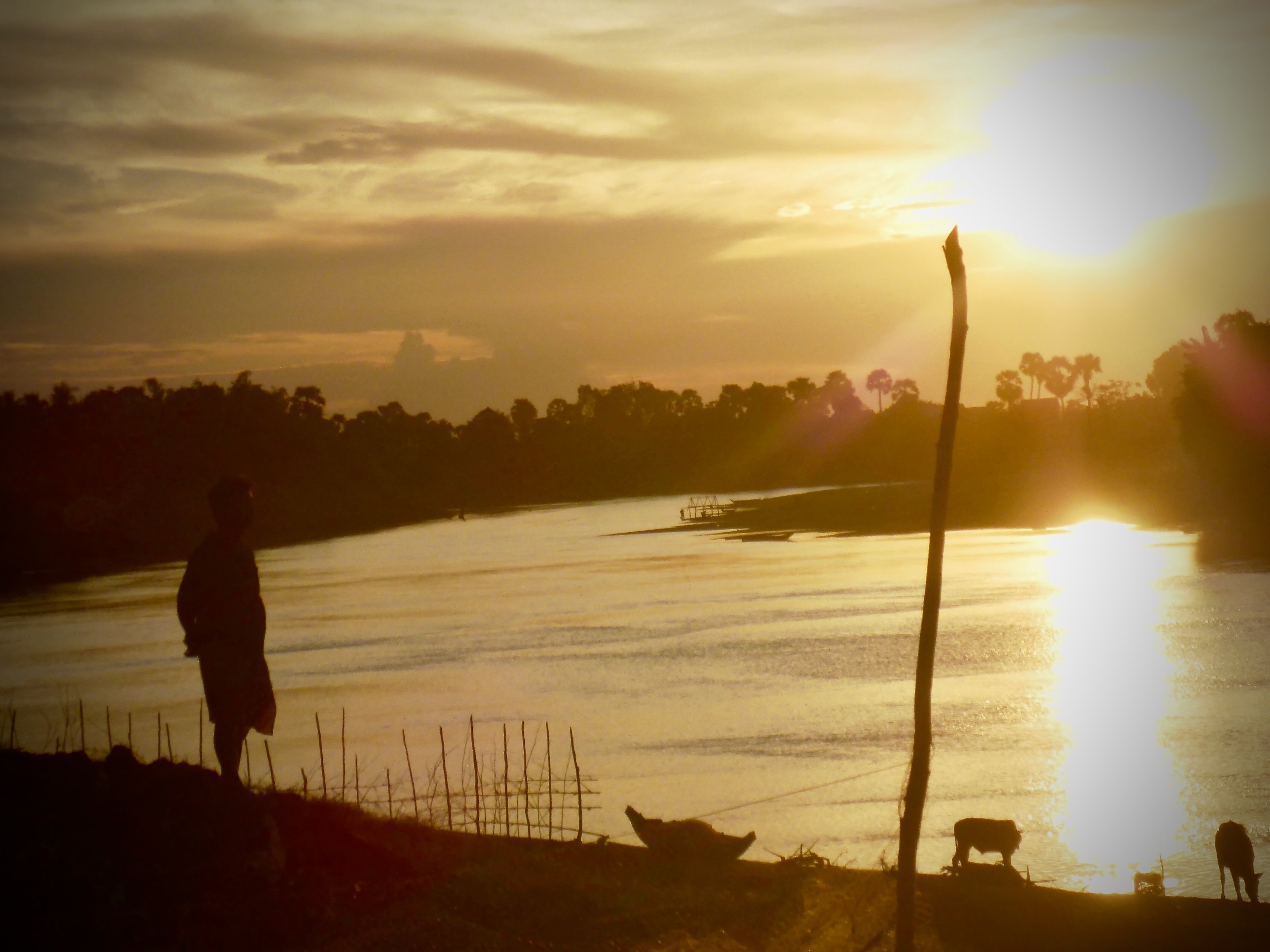 De rondreis rond het Tonlé Sap-meer + Kratie (Dolfijnen) - Kratie. Onderdompeling in het Authentieke Cambodja en Ontmoeting met Zoetwaterdolfijnen - Foto van de dag