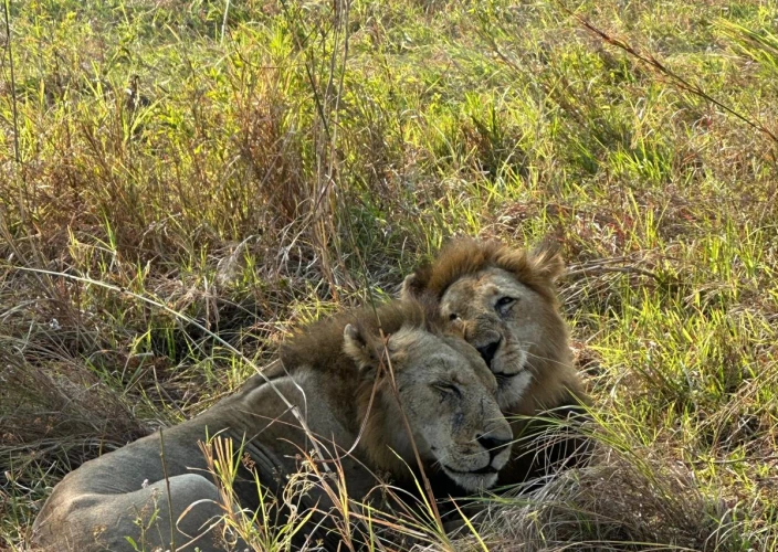 13-Day Tanzania and Zanzibar Value for Money - Ngorongoro Crater - Photo of the day