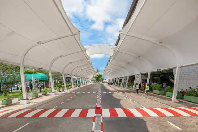 Experiência com Gorilas das Terras Baixas em África: Último Éden "GABÃO"