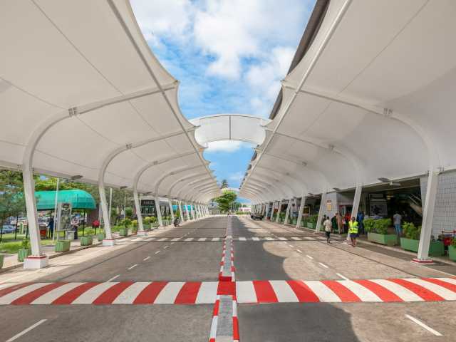 Experiência com Gorilas das Terras Baixas em África: Último Éden "GABÃO"