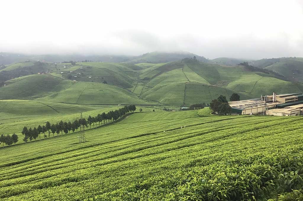 8-tägiger Congo-Nile-Trail - Radfahren entlang des Congo Nile Trail - Tagesfoto