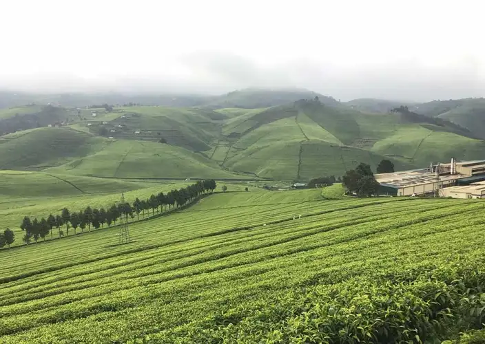 8-tägiger Congo-Nile-Trail - Radfahren entlang des Congo Nile Trail - Tagesfoto