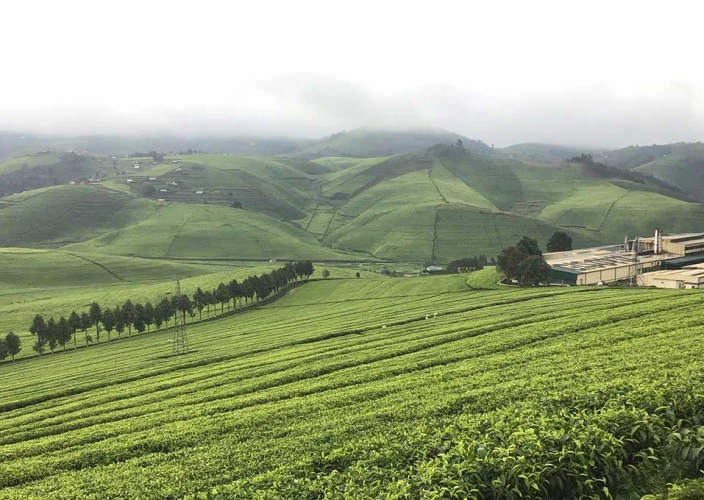 Sentier Congo-Nil de 8 jours - Faire du vélo le long du sentier Congo-Nil - Photo du jour