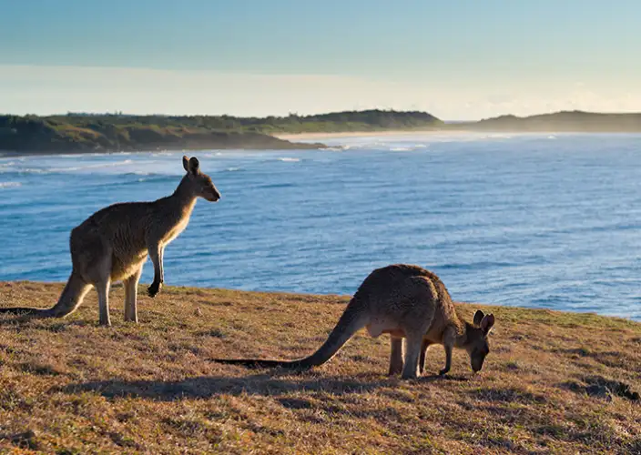 Wohnmobilvermietung - Sydney nach Brisbane - Bellingen nach Red Rock - Tagesfoto