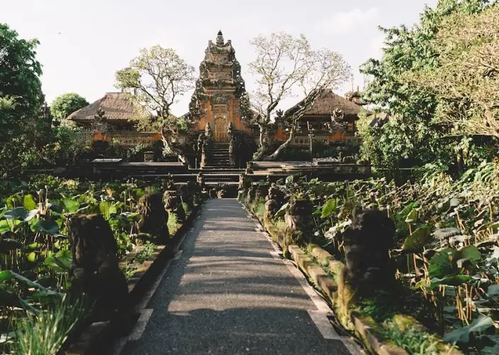 Ubud, ses rizières et plages du Sud - Ubud et ses trésors - Foto del día