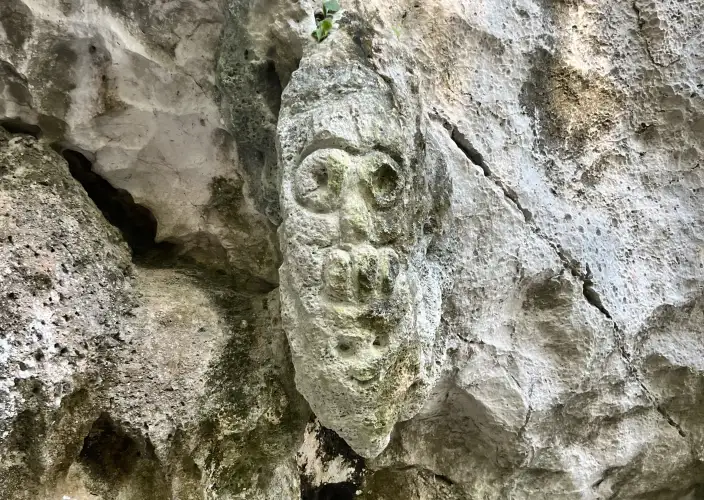 Bayahibe und Los Haitises - Private Führung durch den Nationalpark Los Haitises - Tagesfoto