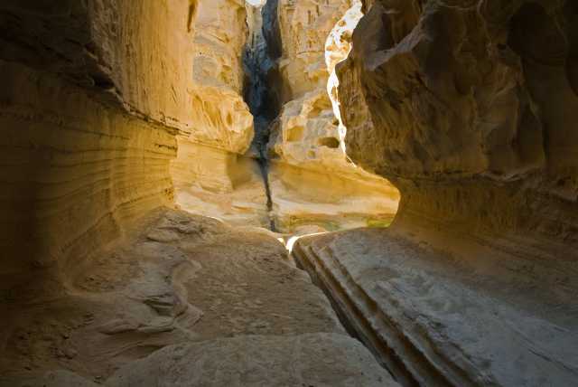 Circuit Escapade dans le Golfe Persique