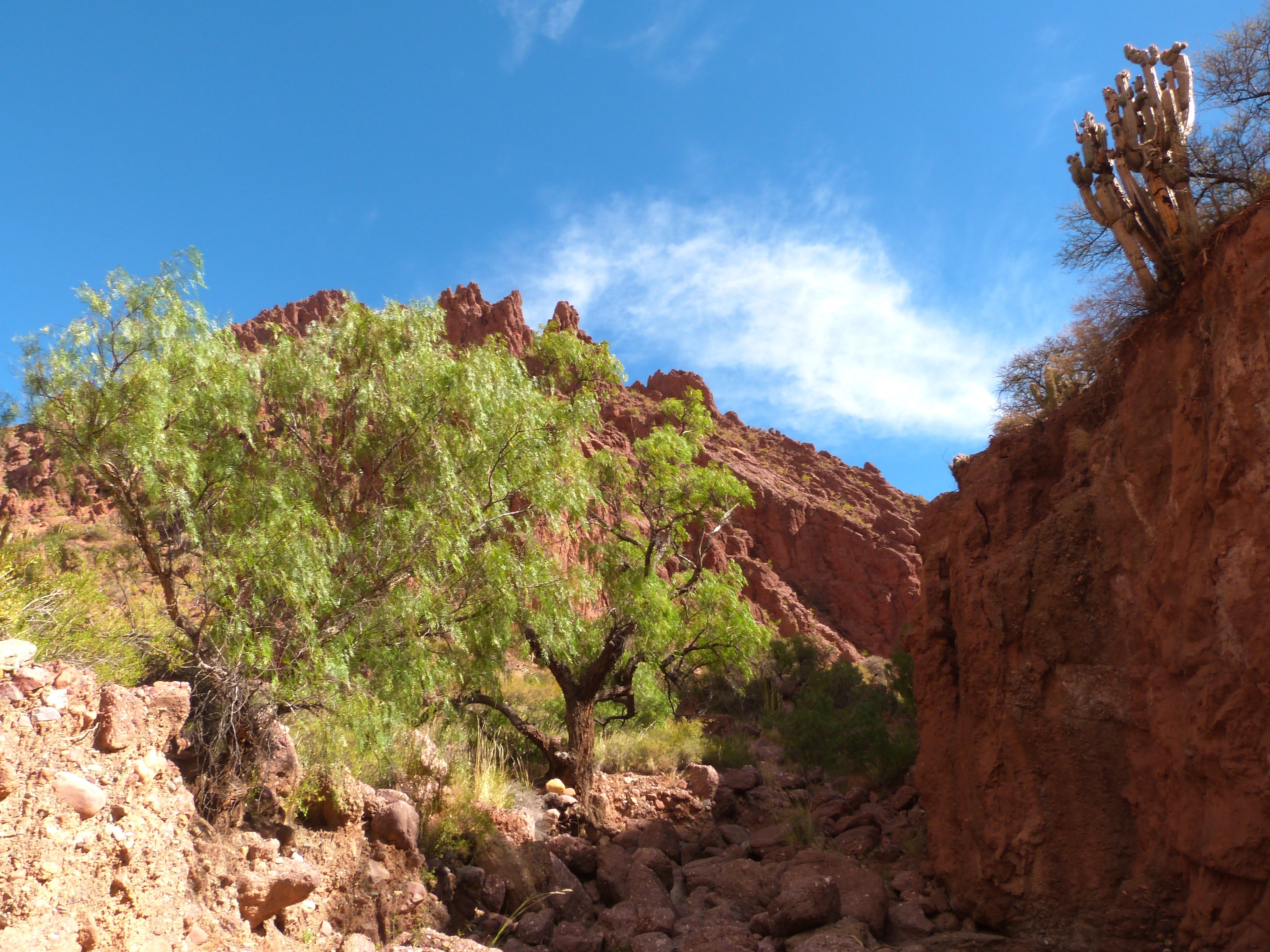An den Grenzen des Altiplano - null - Tagesfoto