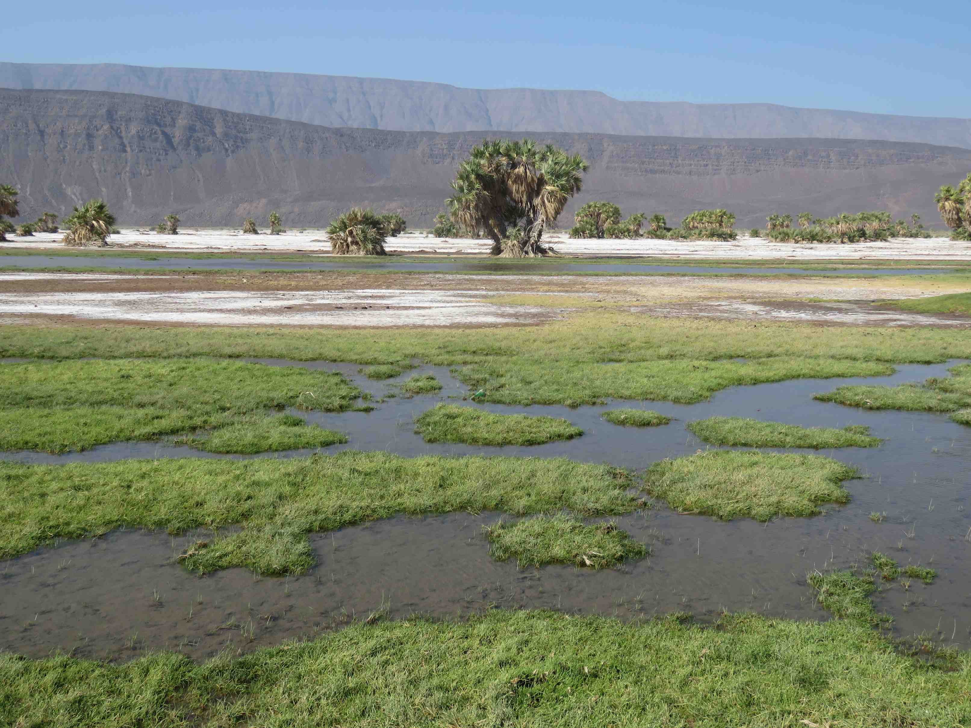 Djibouti: tra mare e montagna - Les Allols, acqua e pascoli - Les Allols, eau et pâturages