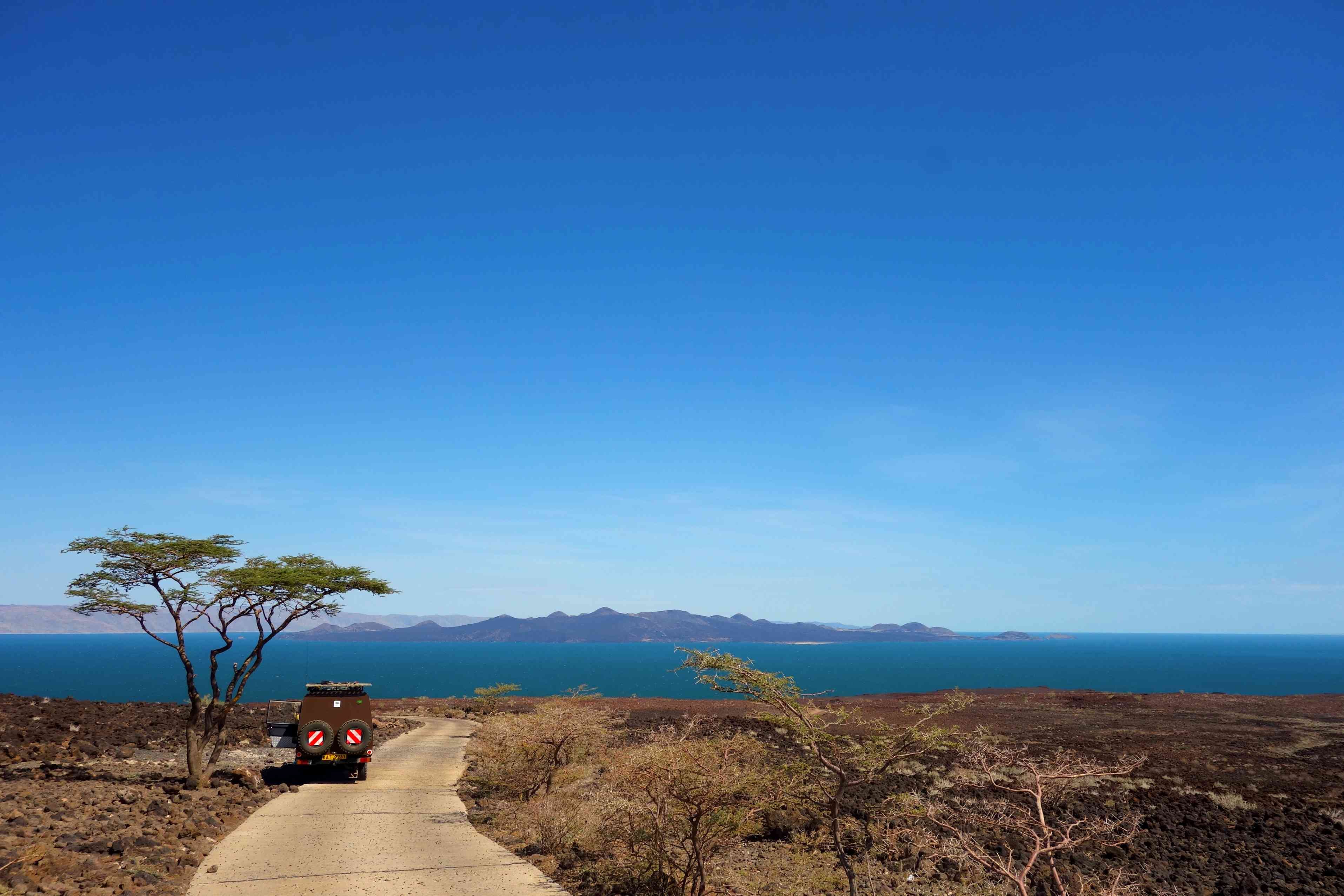 Le parc national du Serengeti - Journée au parc national de Tarangire - Journée au parc national de Tarangire