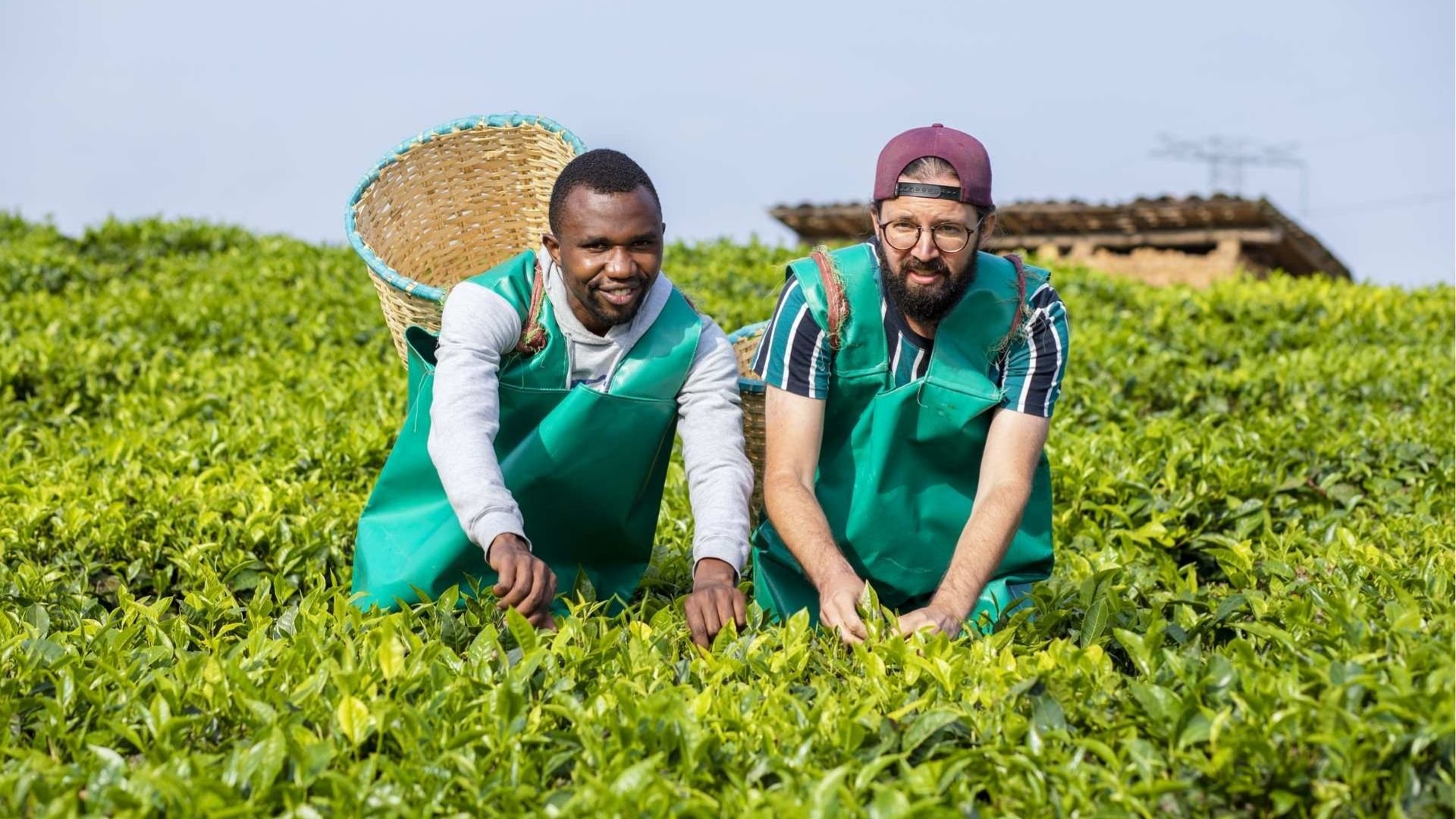 8-tägiger Congo-Nile-Trail - 2. Tag auf dem Congo Nile Trail, dann weiter nach Musanze über die Pfunda-Teefabrik - Tagesfoto
