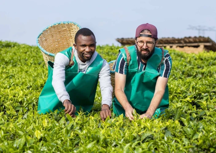 Sentier Congo-Nil de 8 jours - 2e jour sur le Congo Nile Trail, puis continuer vers Musanze via la Pfunda Tea Factory - Photo du jour