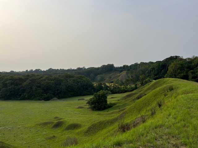 Ontdekking van Nyonié