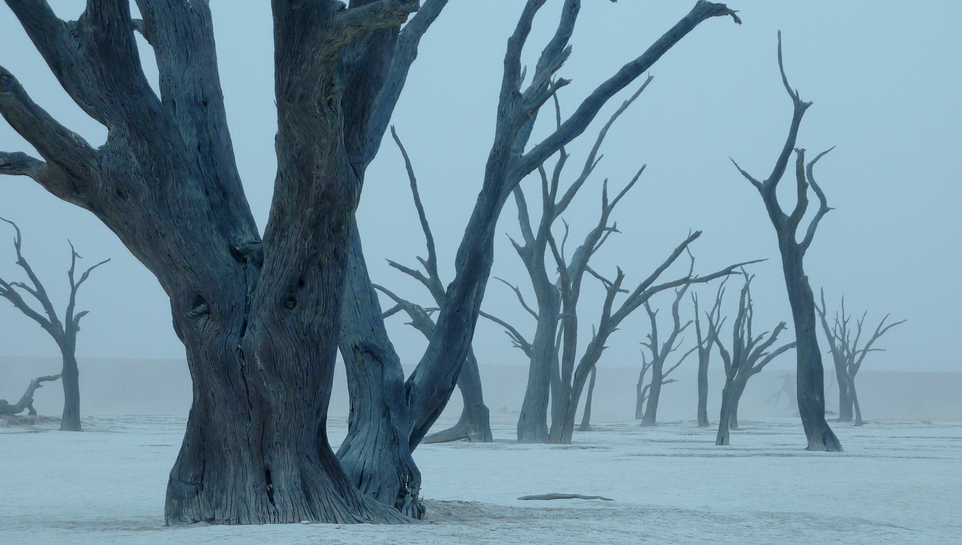 Die Flüsse Namibias - null - Tagesfoto