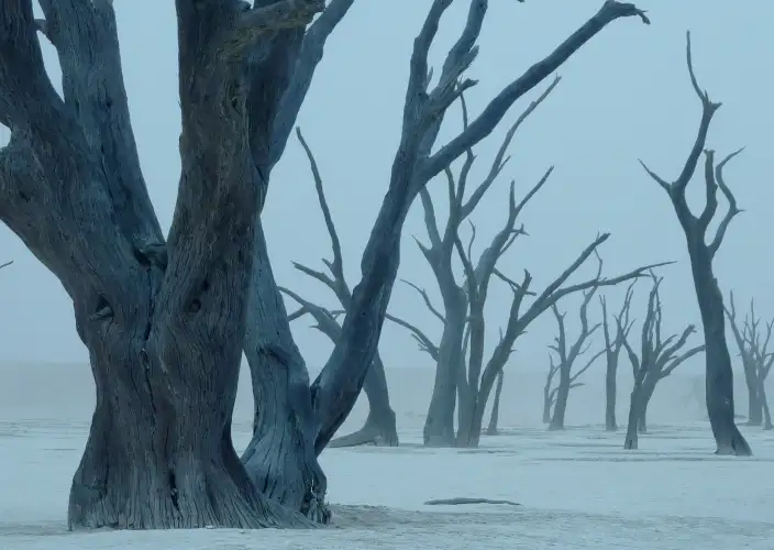 Die Flüsse Namibias - null - Tagesfoto