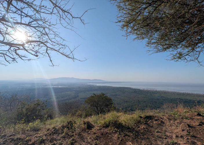 Circuito de Safári do Norte de 11 Dias & Tour de Médio Porte em Zanzibar - Lago Manyara - Foto do dia